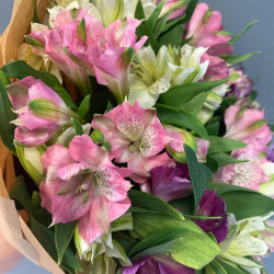 11 разноцветных альстромерий